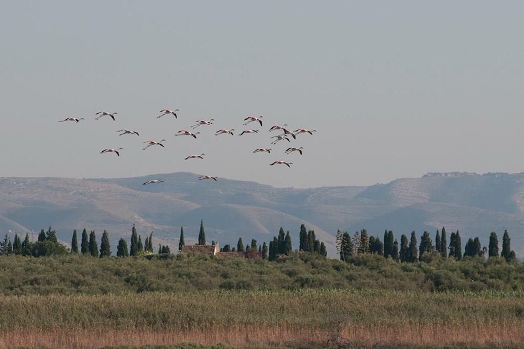 Arenaria B&B Avola Buitenkant foto